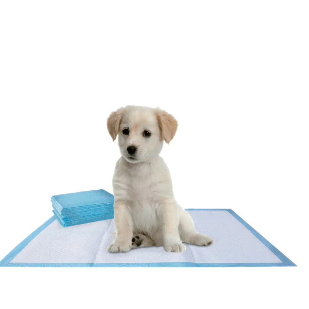 タイトル: 使い捨て子犬用パッドガイド: 使い捨て子犬用パッドで手間いらずのトレーニングを実現